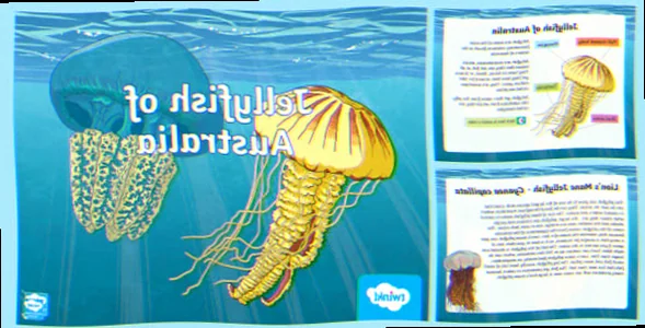 Australian jellyfish ecological role