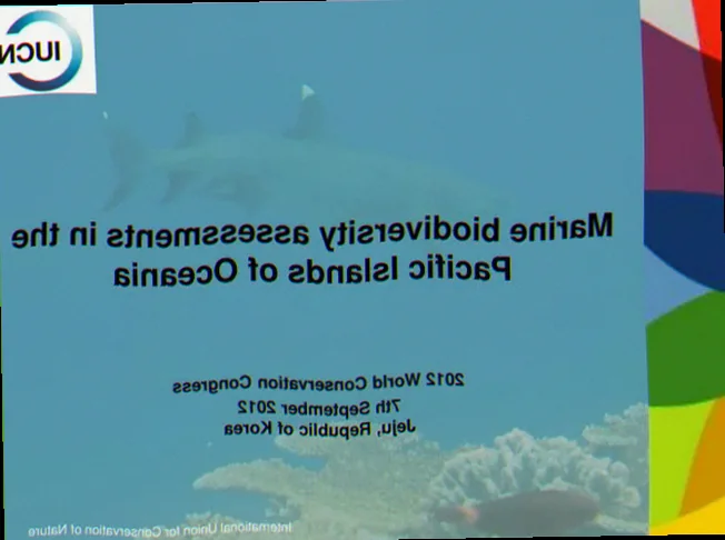 Australian marine fauna biodiversity assessment