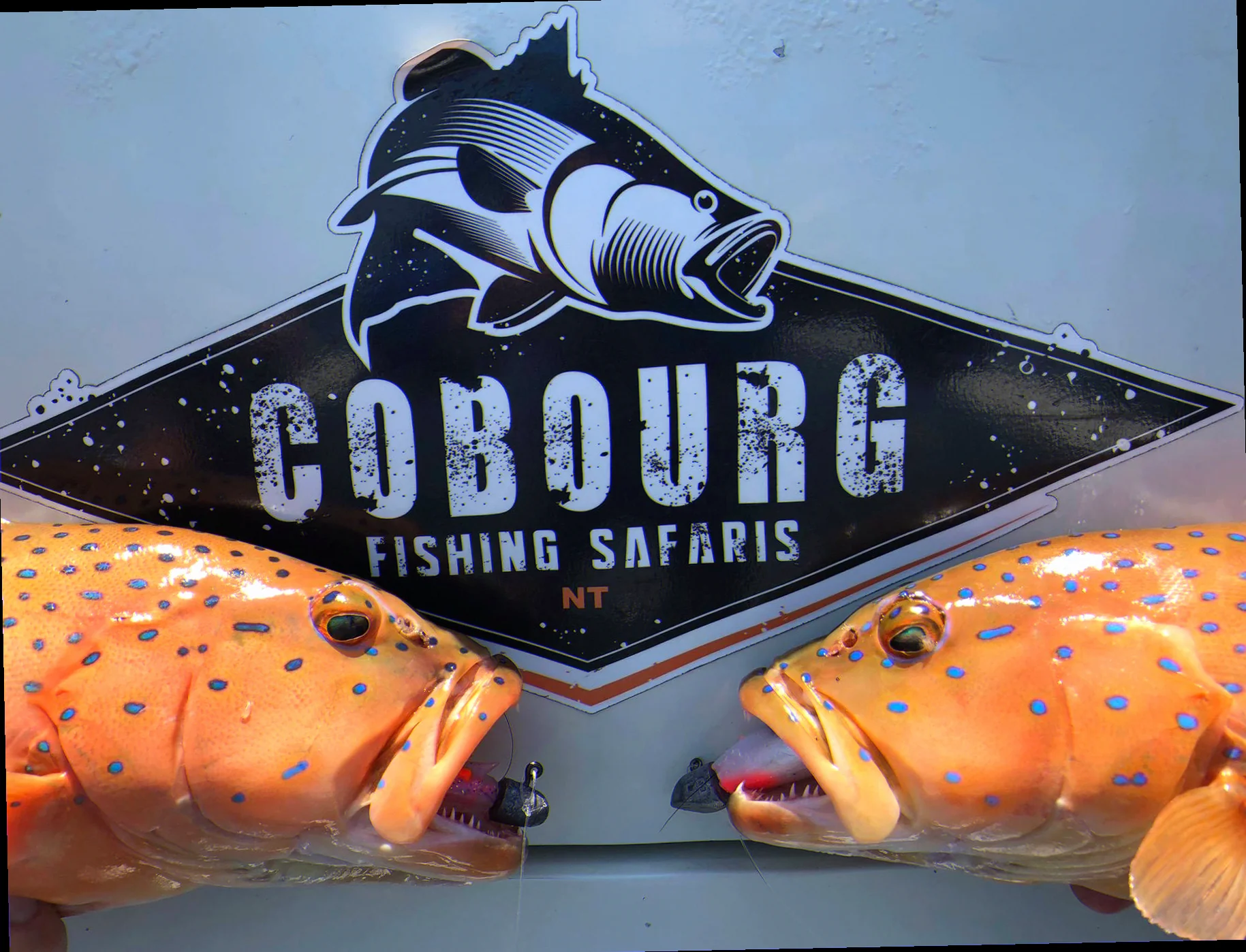 Cobourg peninsula endemic fish identification