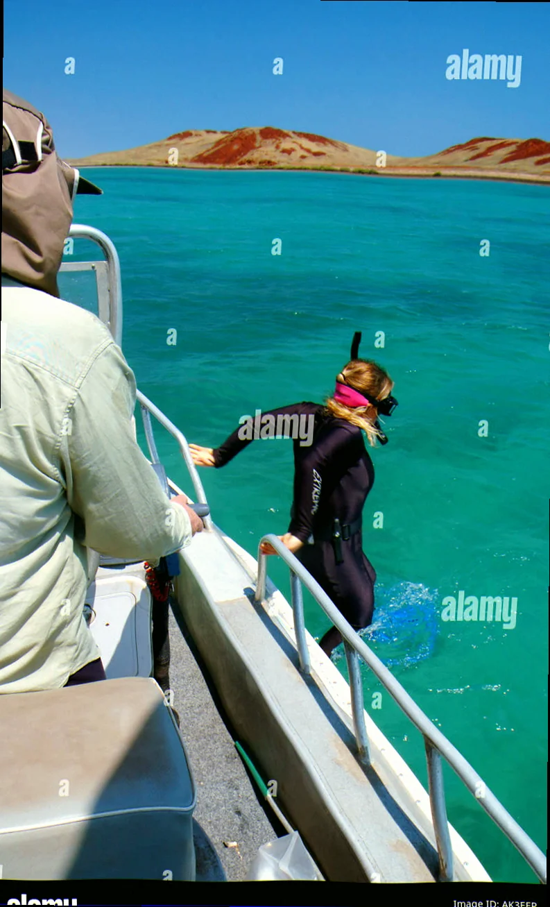 Dampier archipelago coral trout survey