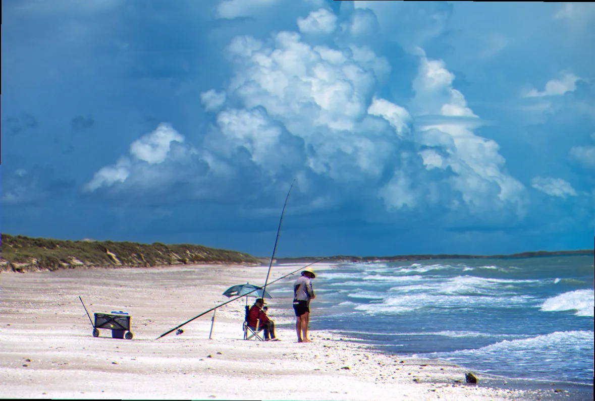 Eighty mile beach shorebird breeding season