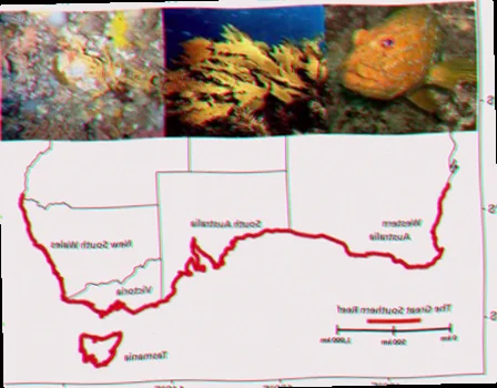 Endemism in Australian waters