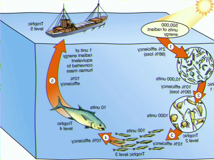 Energy transfer plankton