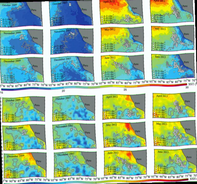 Humboldt squid population dynamics oceanography