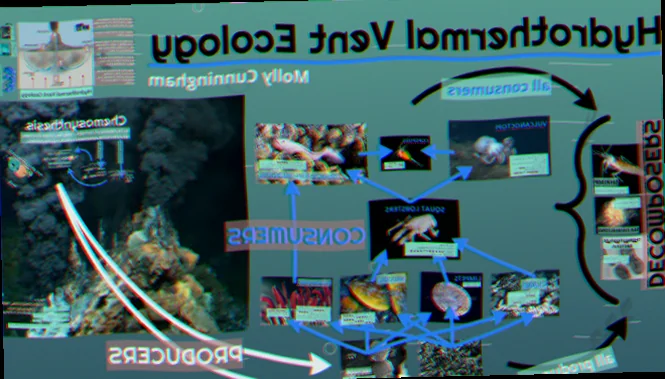 Hydrothermal vent ecosystems australia