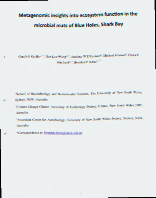 Microbial mats shark bay ecosystem function