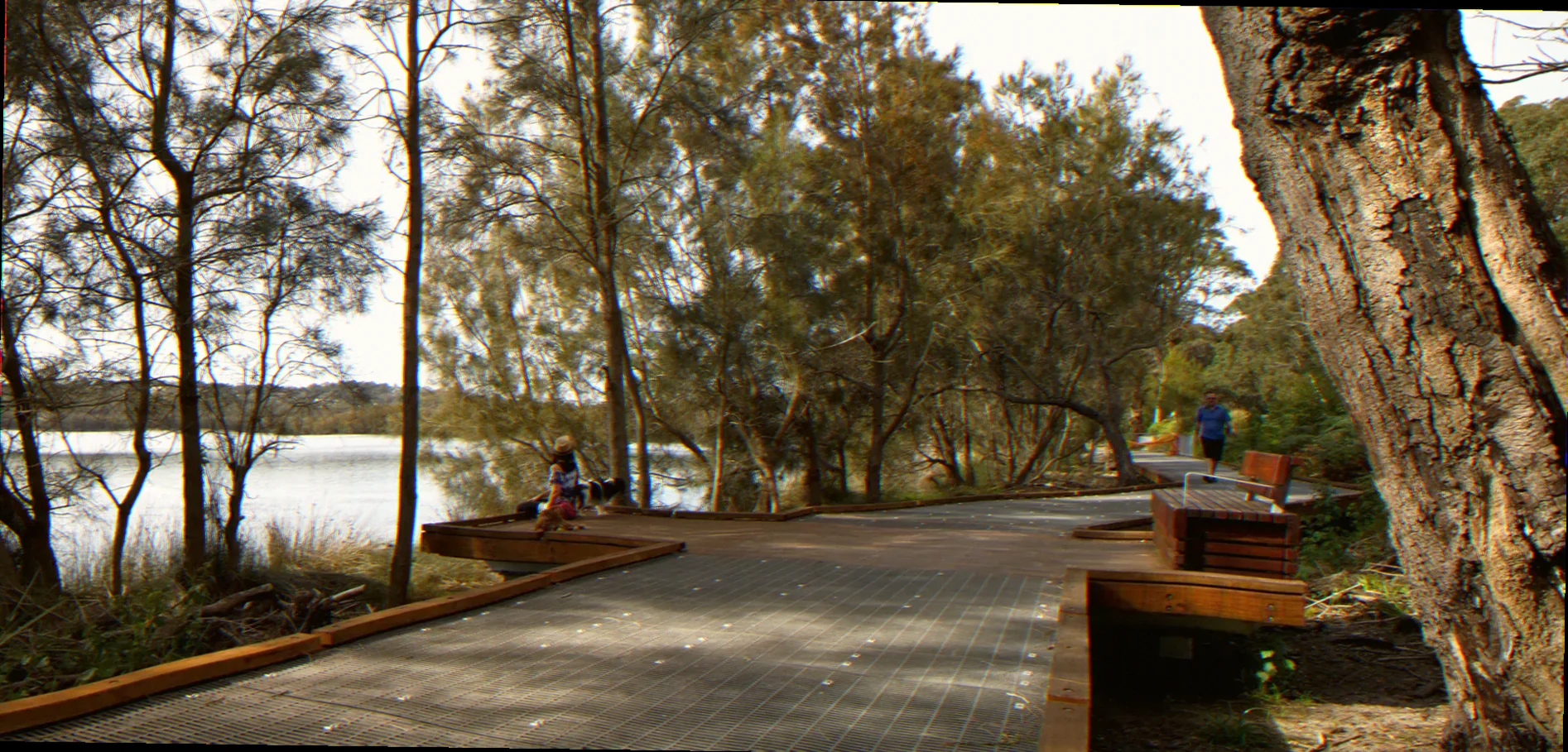 Narrabeen lagoon fish fry lifecycle stages
