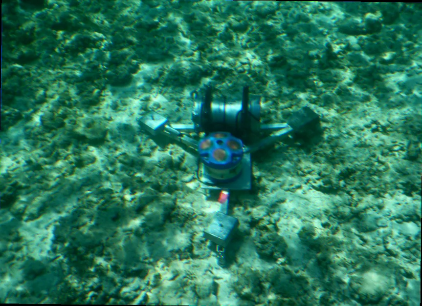 Ocean productivity drivers