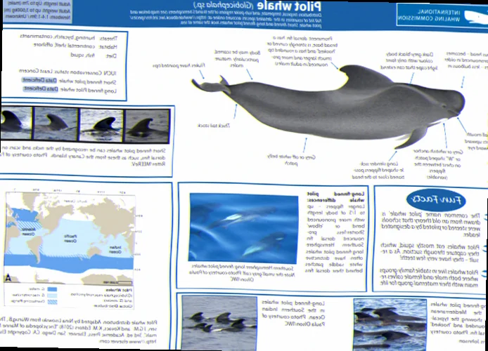 Pilot whale social structure