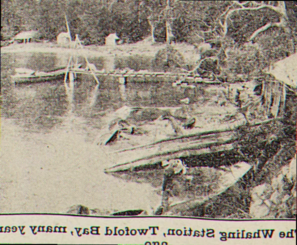 Twofold bay historical whaling station impact