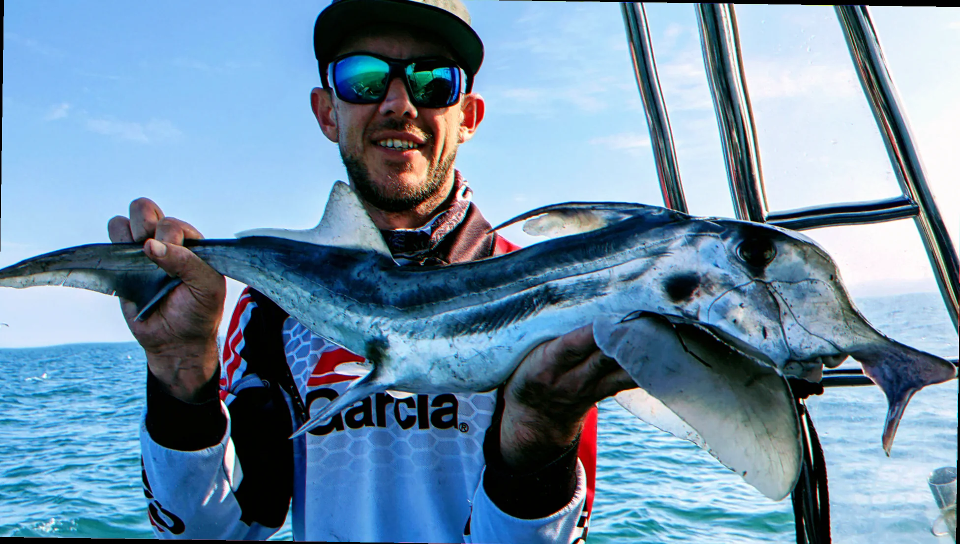 Western port bay elephant fish