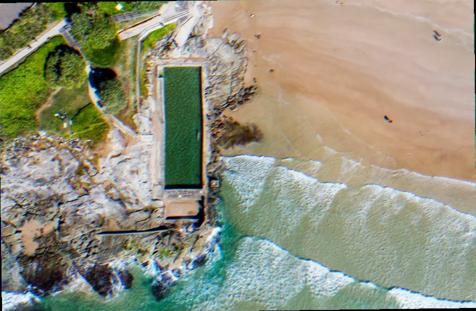 Yamba ocean pool biodiversity survey